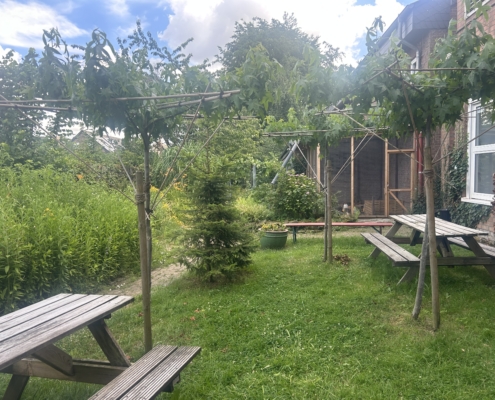Bäume